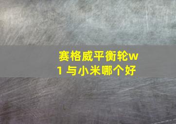 赛格威平衡轮w1 与小米哪个好